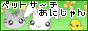 �y�b�g�T�[�`�@���ɂ܂遙������
